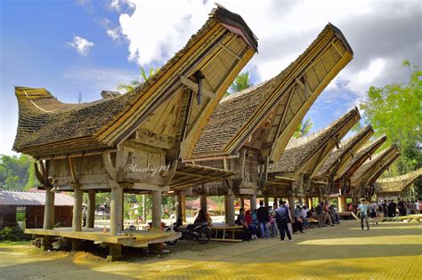 rumah adat toraja sulawesi selatan